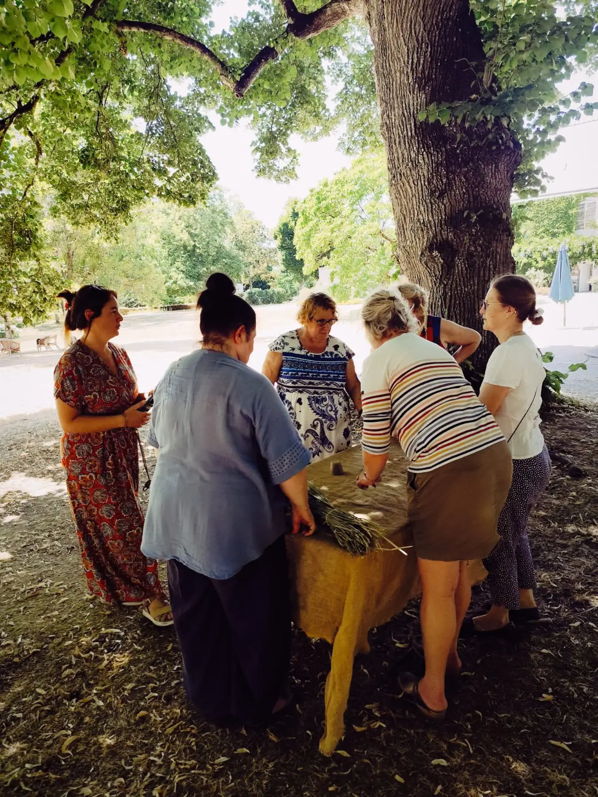 Un groupe compose ensemble autour d’une table, à l’ombre d’un grand arbre.