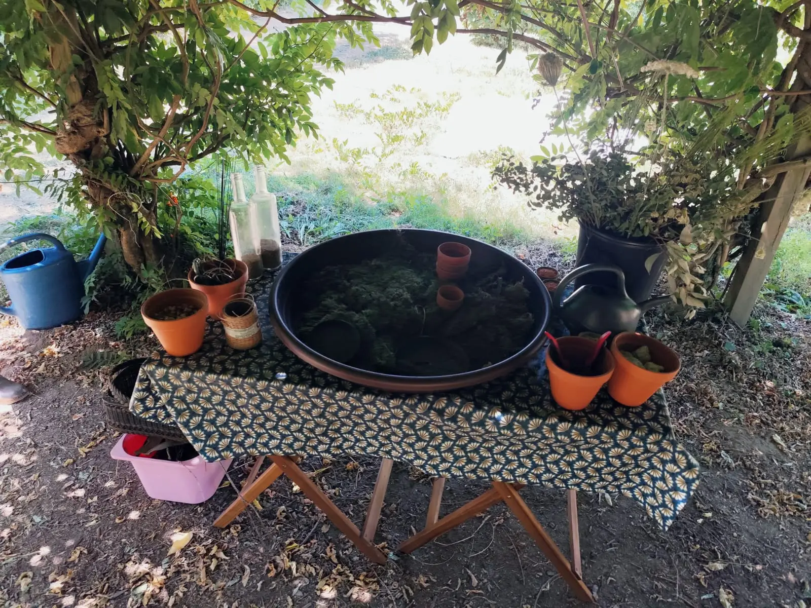 La table de création prête : grande coupe de mousse, pots en terre cuite et arrosoir.