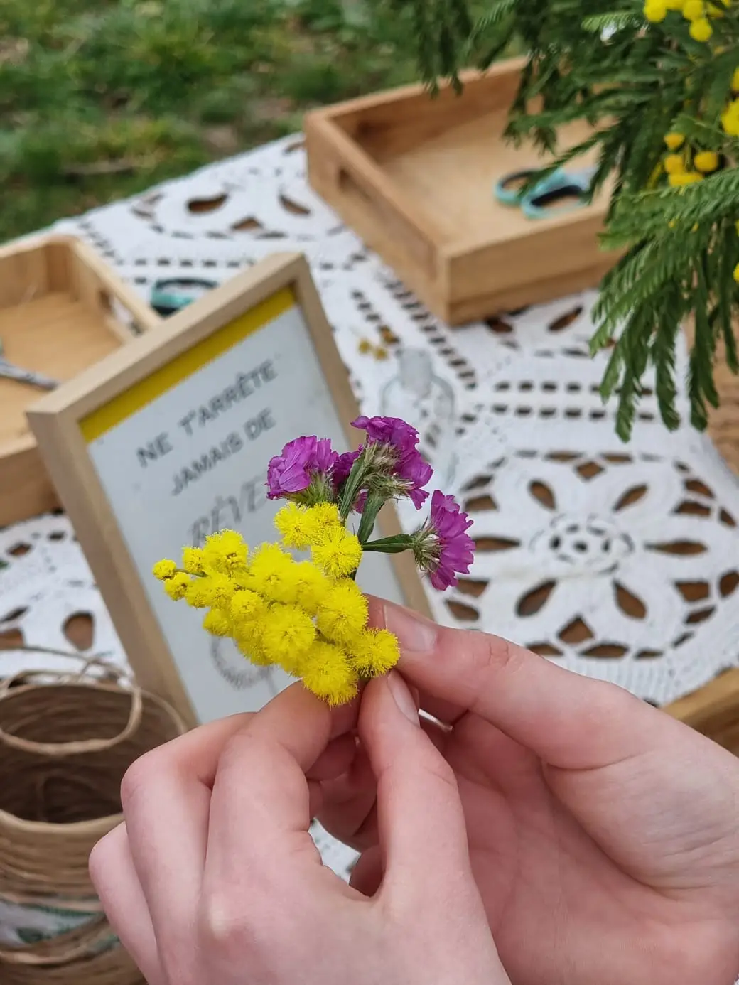Une main choisit un brin de mimosa ; derrière, un cadre « Ne t’arrête jamais de rêver ».